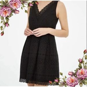 ANN TAYLOR LOFT Eyelet Pleated v-neck Dress